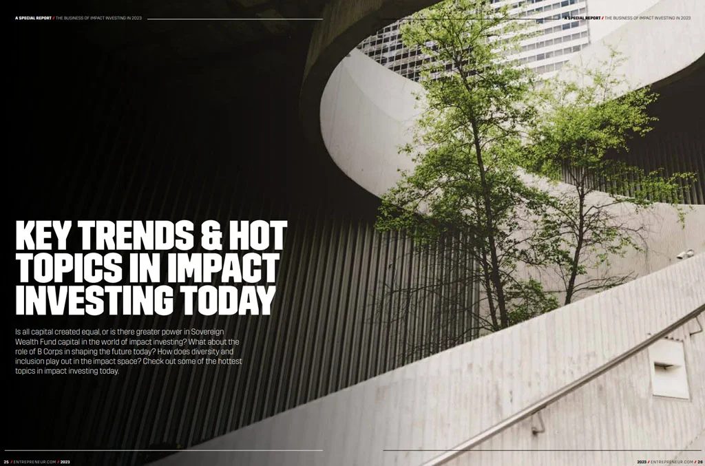 The Business of Impact Investing in 2023: inside page 3